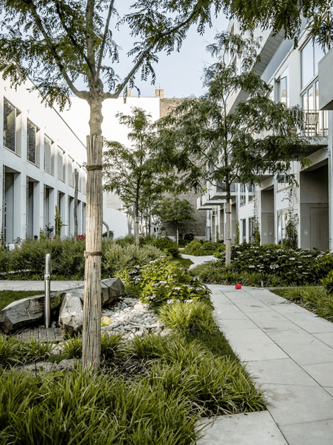 Zelterstrasse 5 residential urban design project, Berlin. the internal courtyard of the rear side of the project showing the garden space.